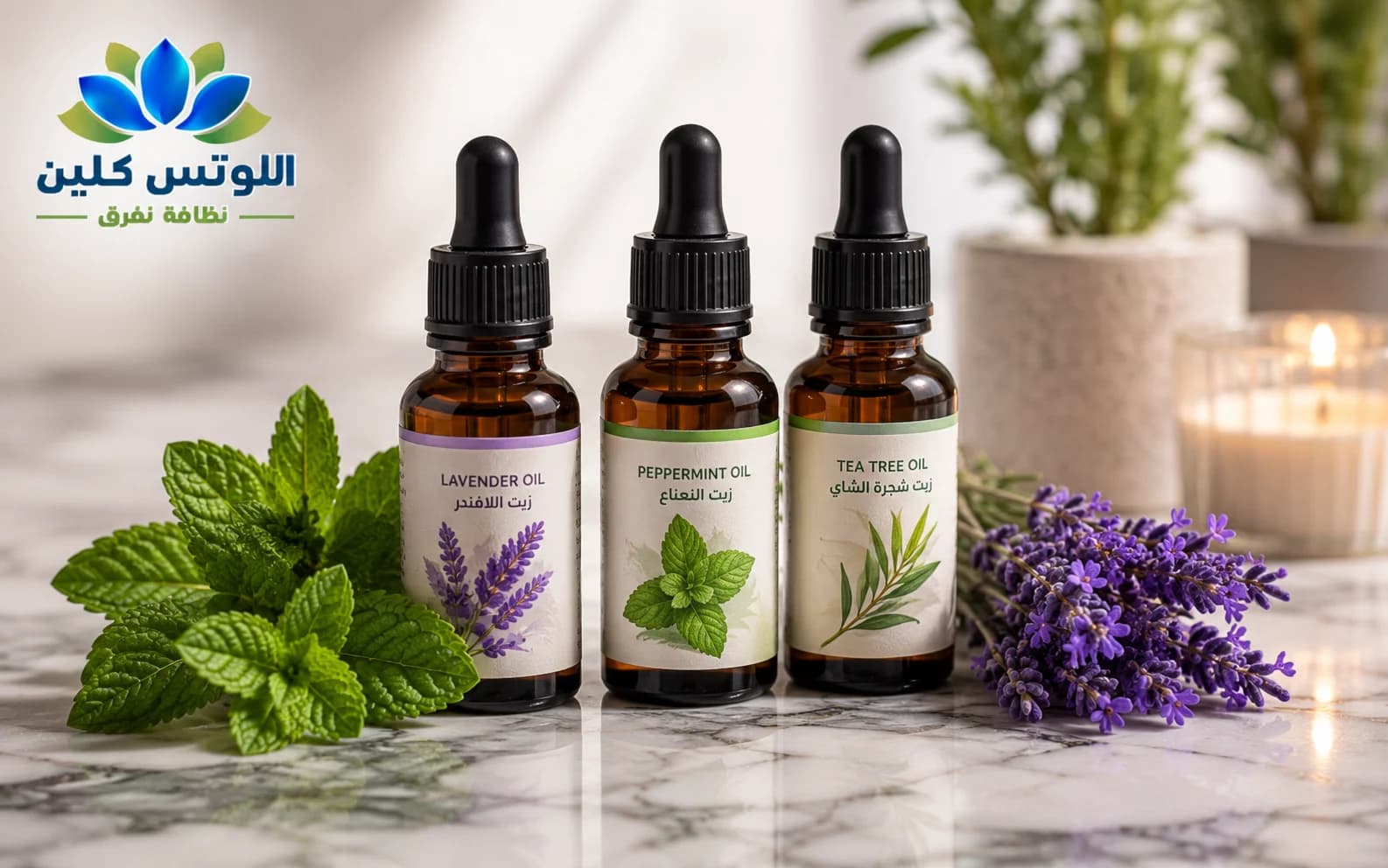الزيوت العطرية الطبيعية التي يكرهها البق مثل النعناع واللافندر